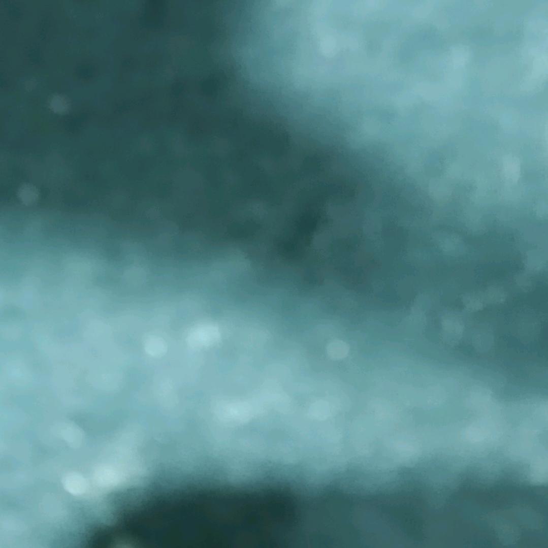 玉都且末