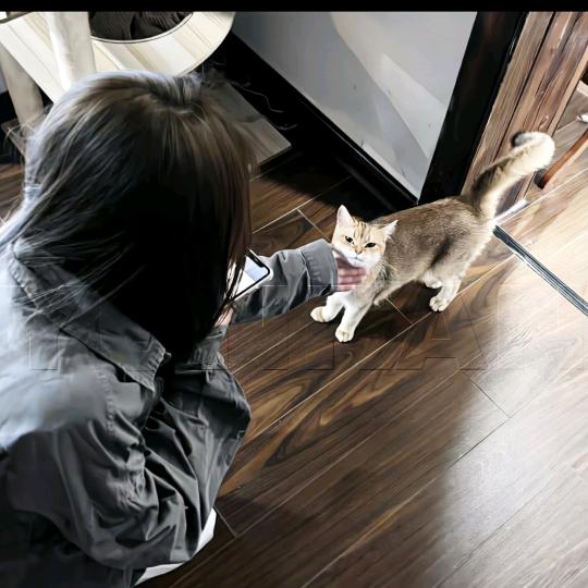 是个帅哥