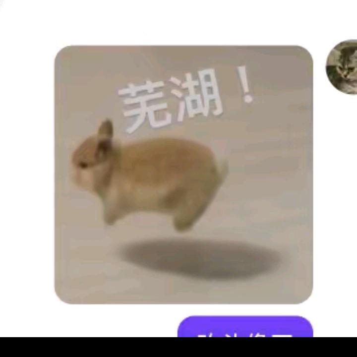 陈哥在澳大利亚你