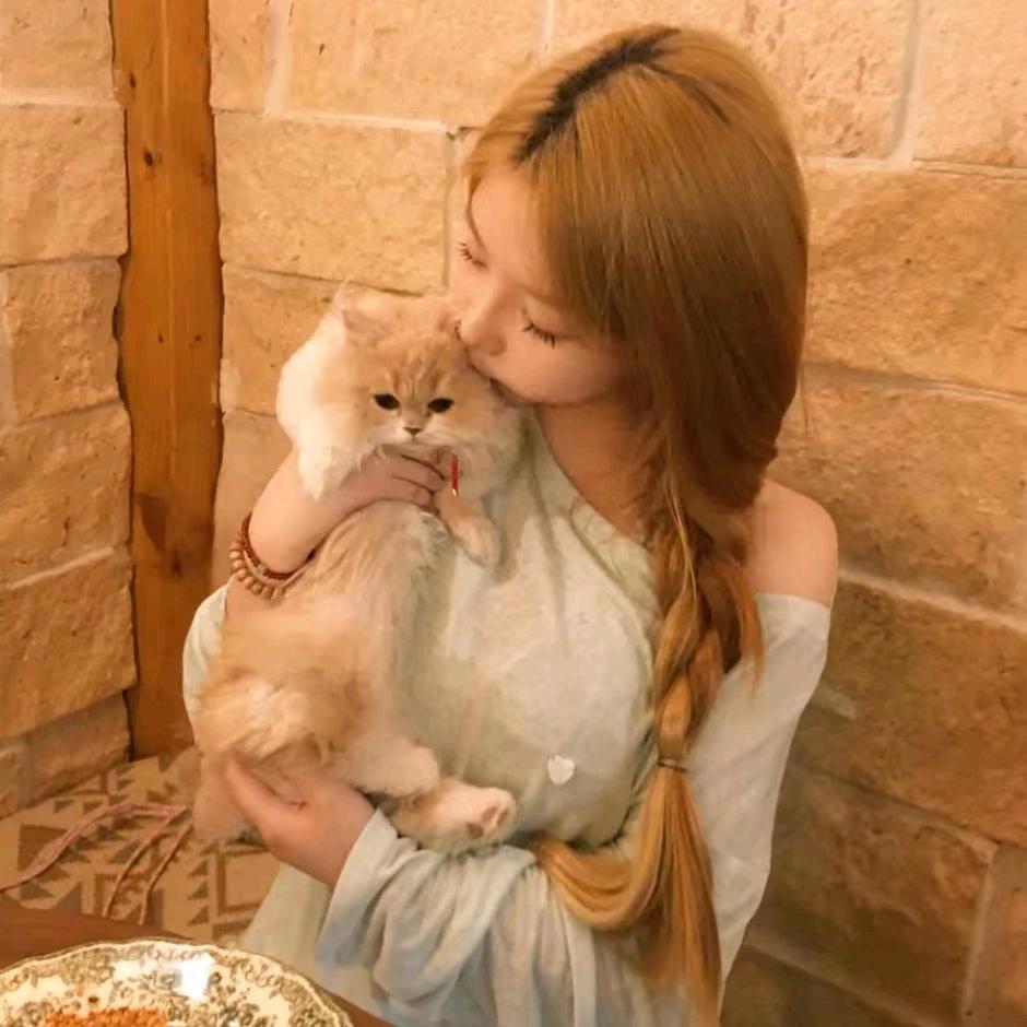 何以岸芷汀兰🇵🇸🕊️