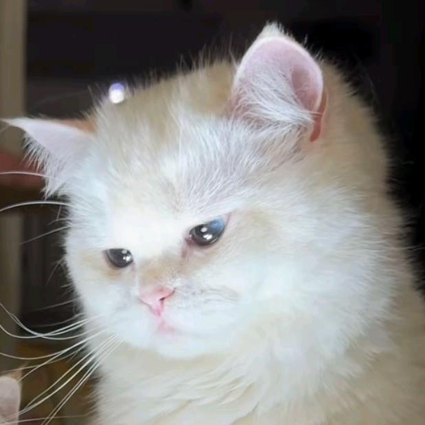 点赞的宝宝看主页