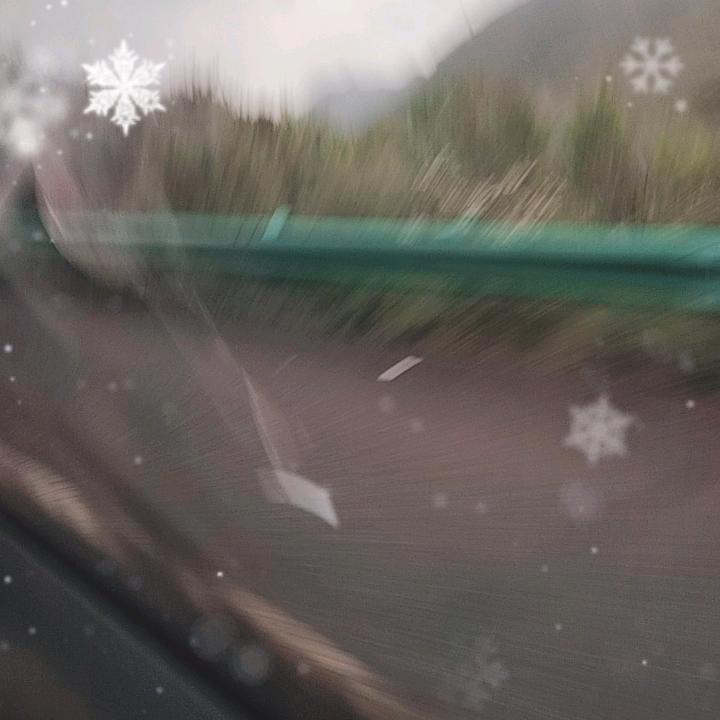 菲菲