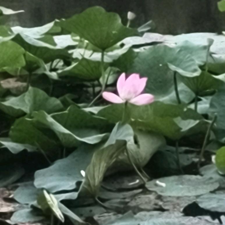 缘起今生三生有幸