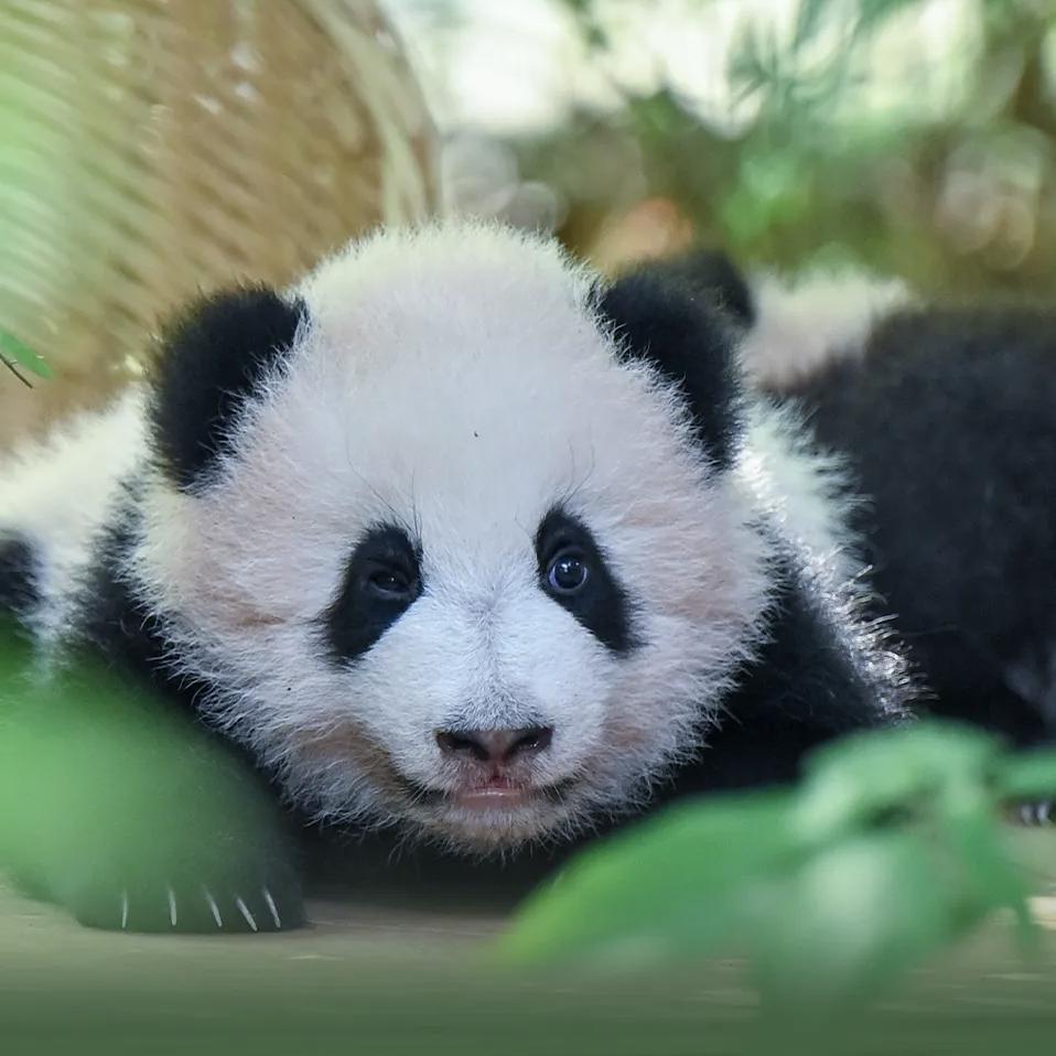 爱我永不变