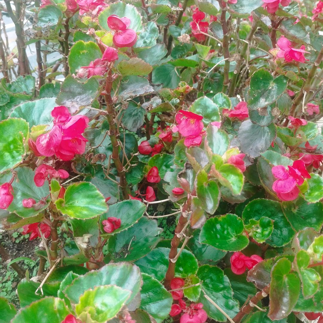 ❤❤莉🌻🌻🌻