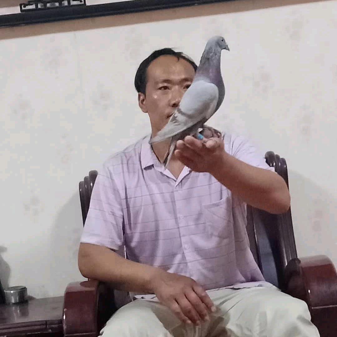 小白