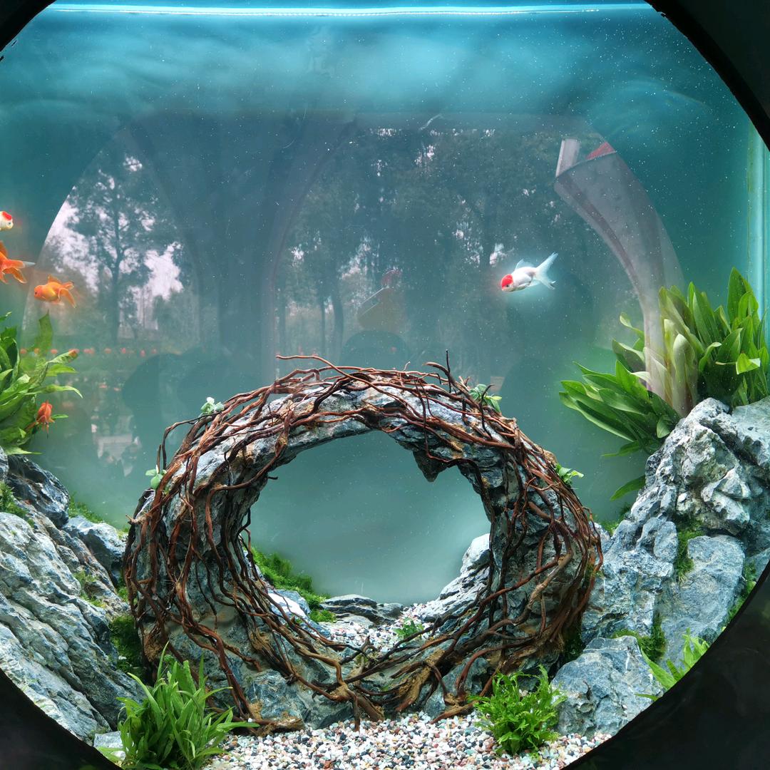 ☀️往事随风🔥✨