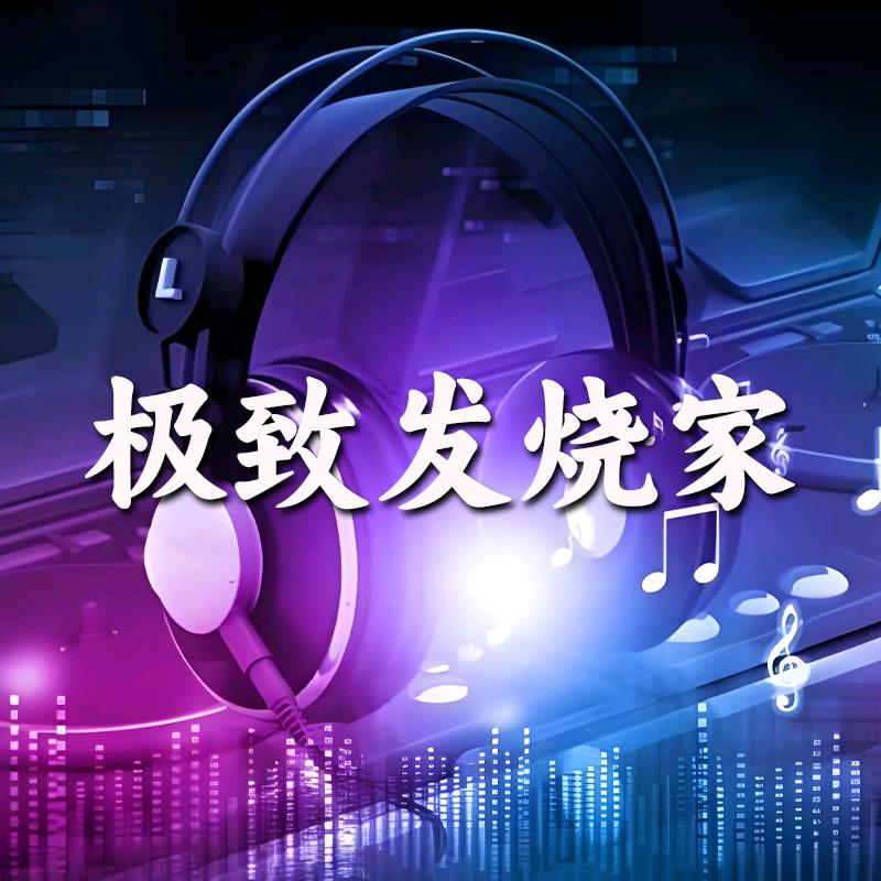 极致发烧家