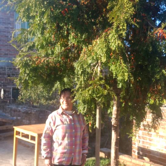 一生幸福☺(姓肖)