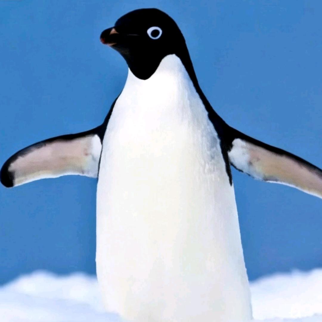 软乎乎糯糯揪云尾巴晃呀晃数星星眨着眼睛呢