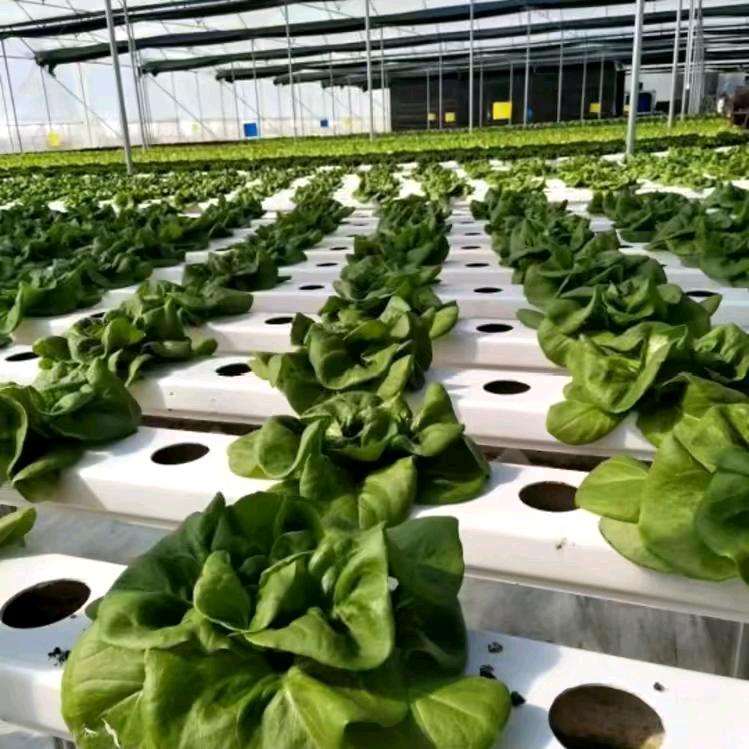 曲靖美达农业科技有限公司