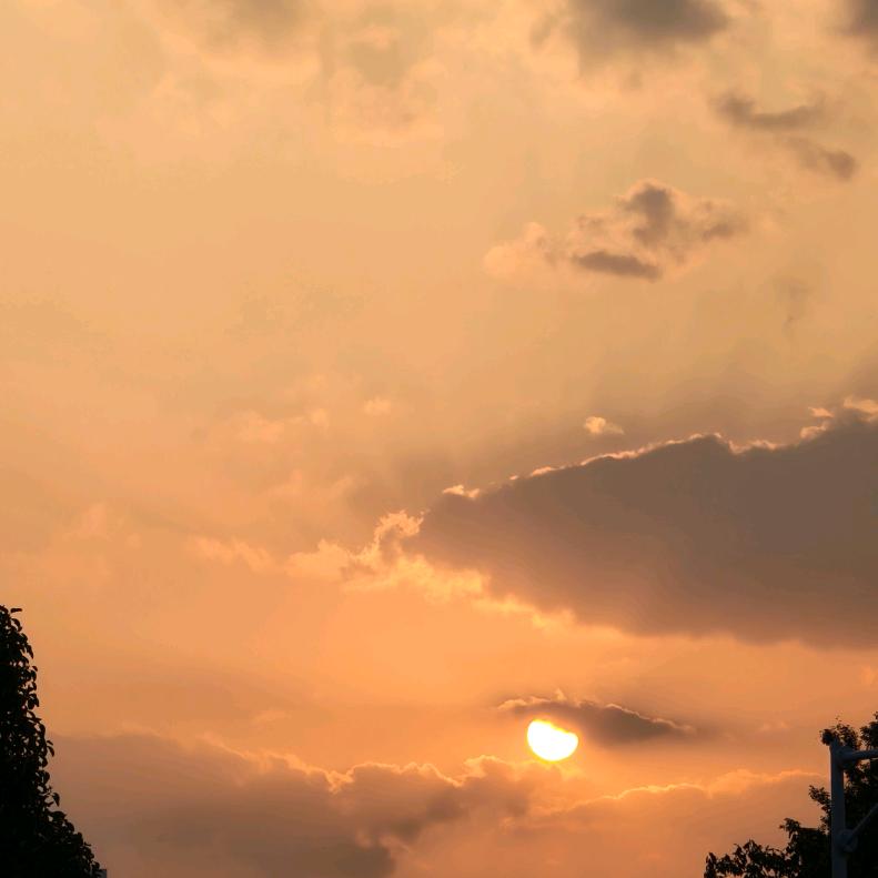 时间总会冲淡某些