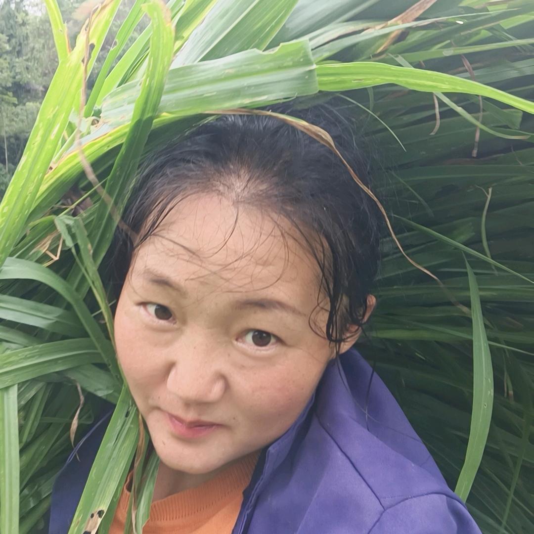 罗罗在农村
