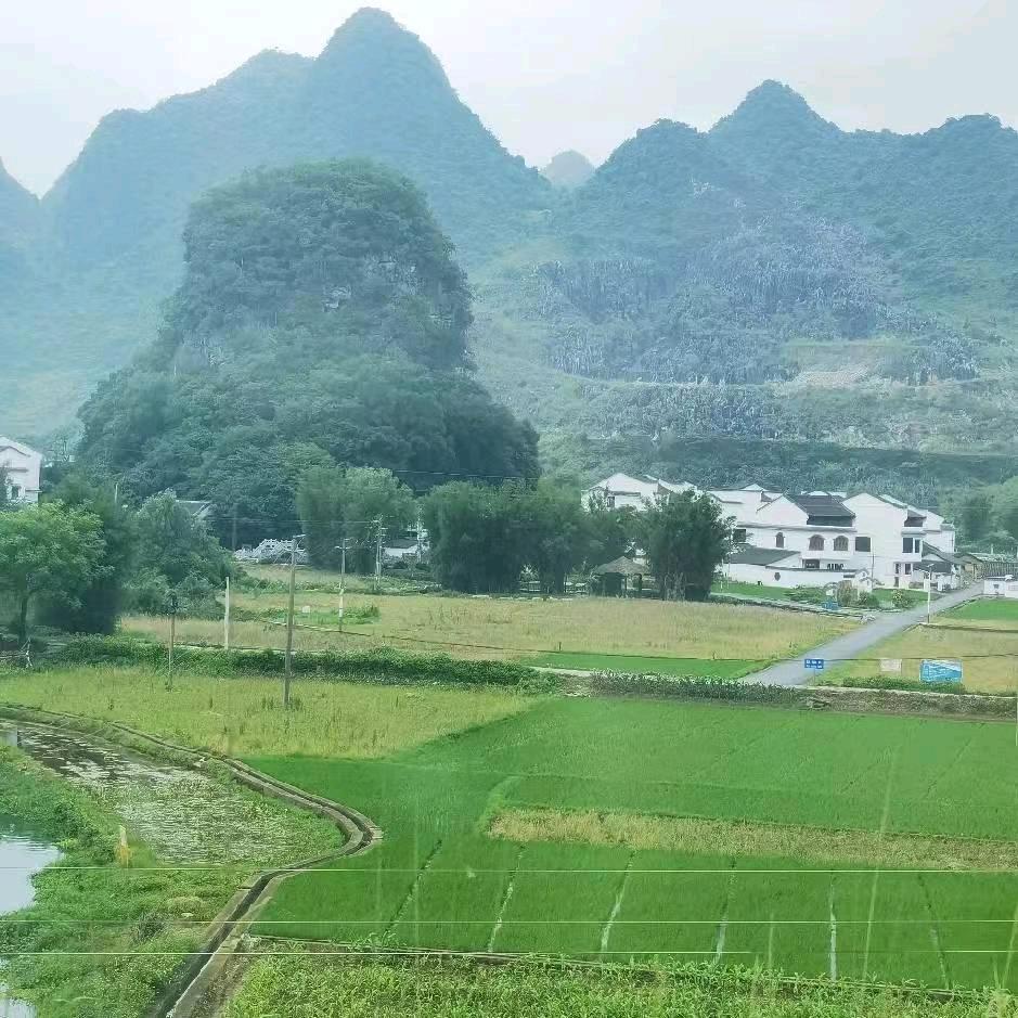 中国梦（小号）