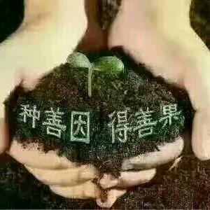 小弓长长