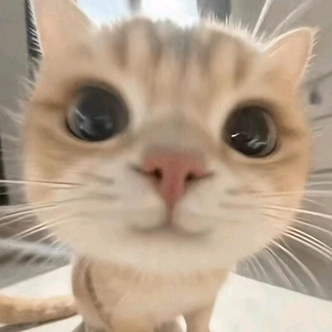 星星落在我头上