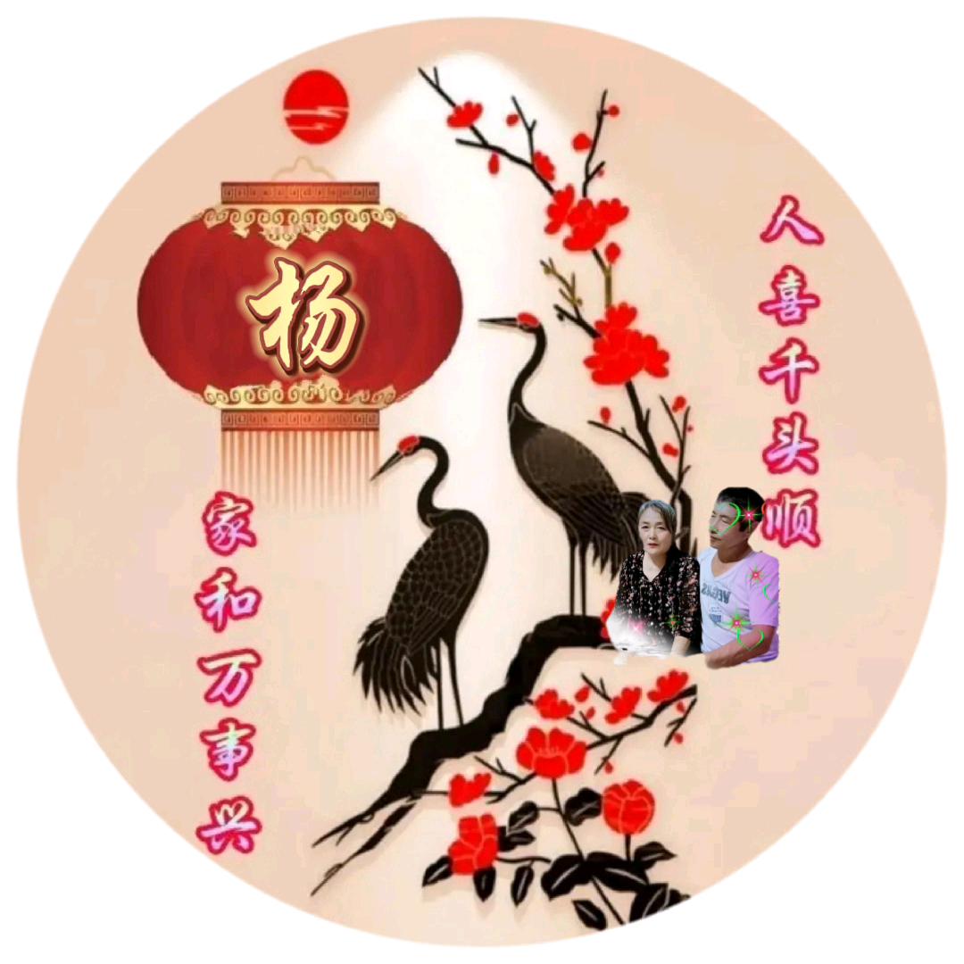 开心杨哥