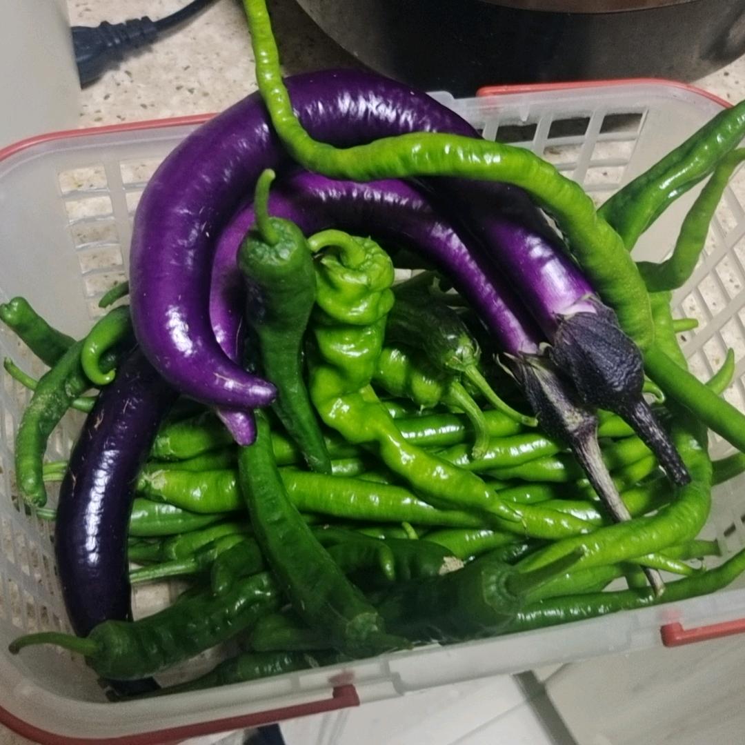 我是龙妈