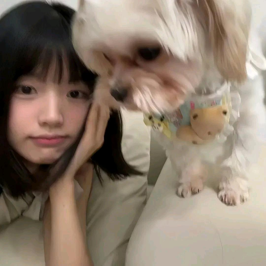 酸奶^