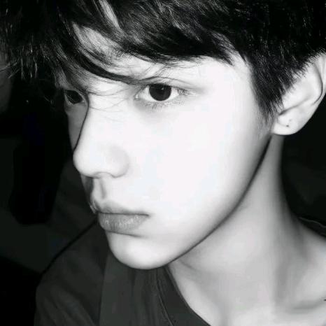 欲与天公试比高