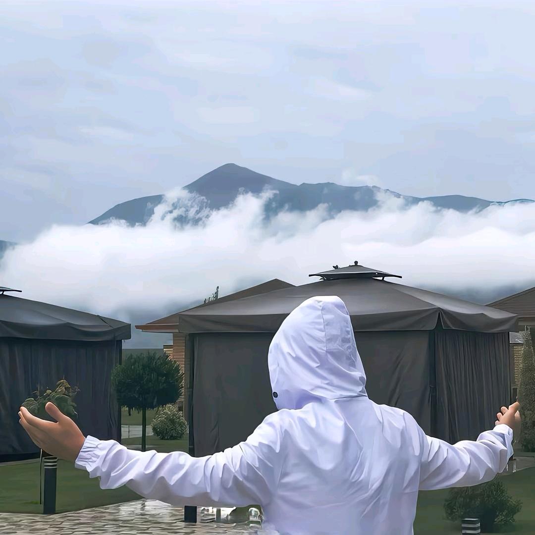 杨十七.