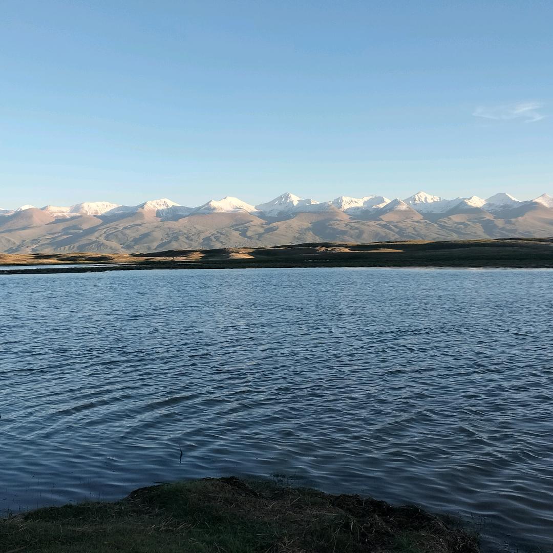 梦森水果