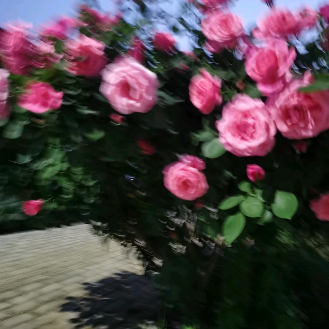 人生是一场修炼