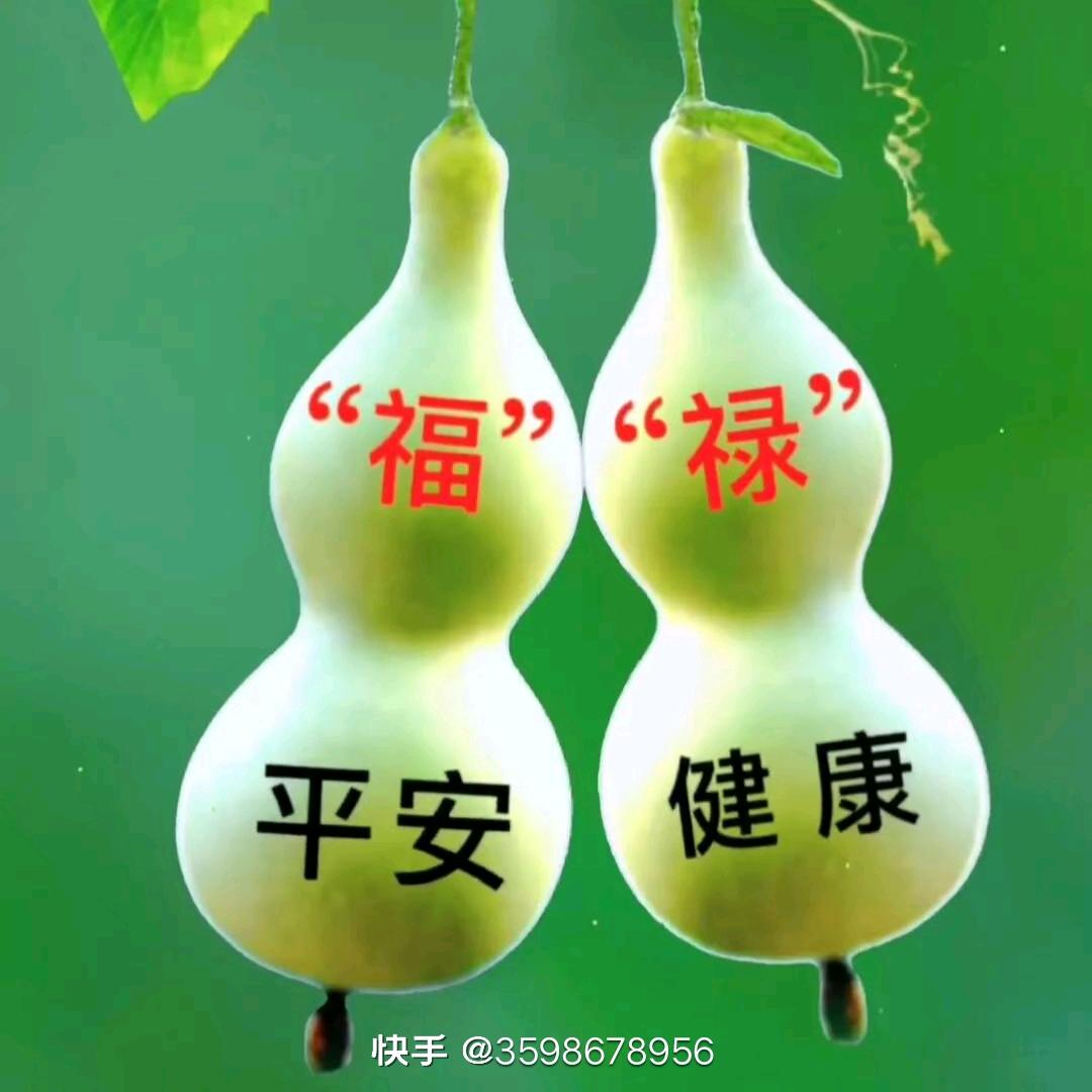 漂亮的两个小葫芦