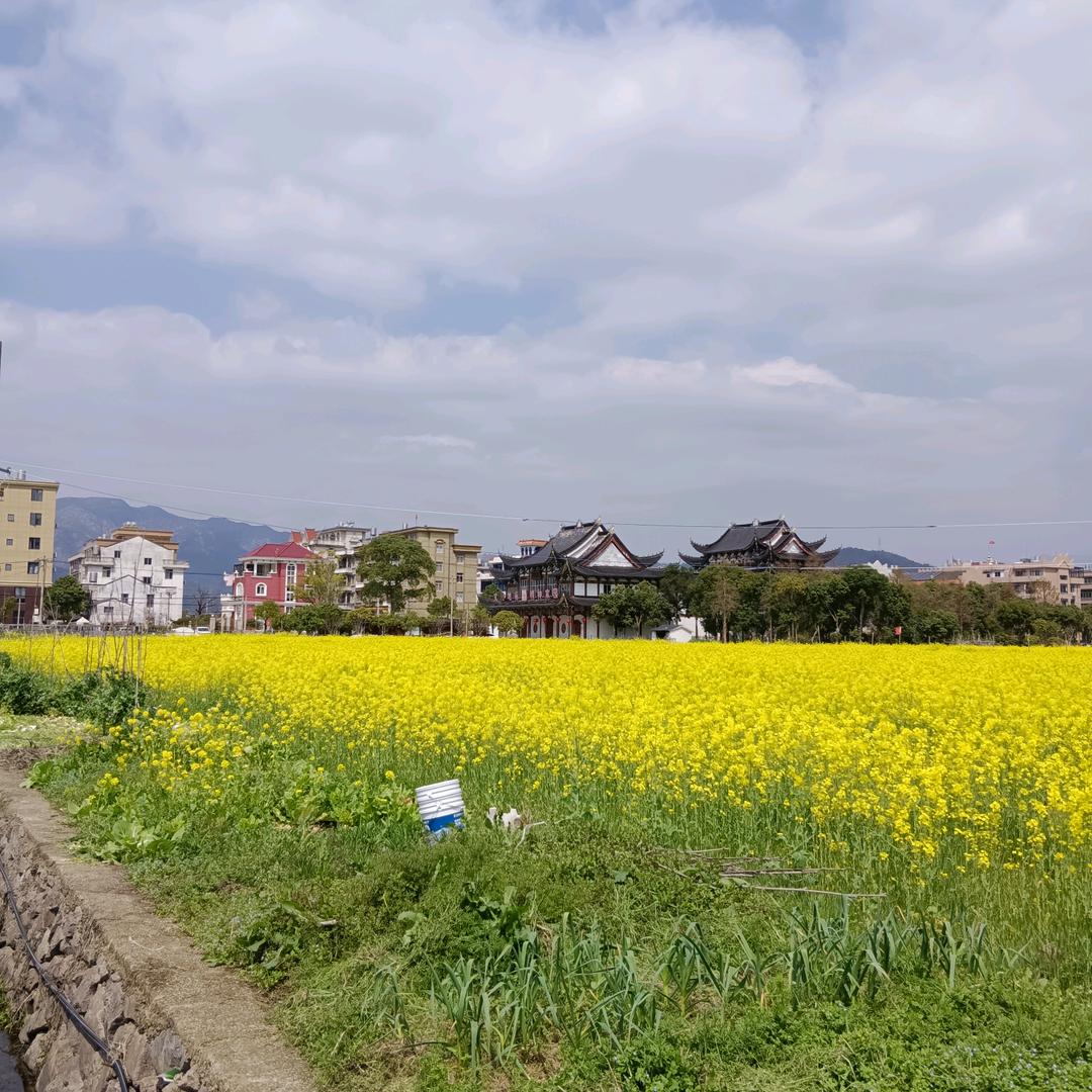 吴价之宝