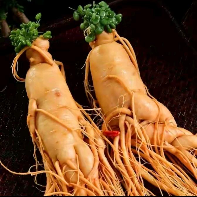 颐年堂泡酒文化