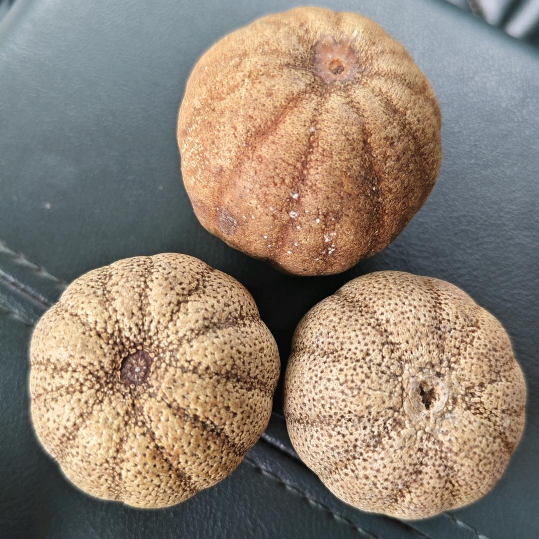 珠婷英欣艳欣静欣红