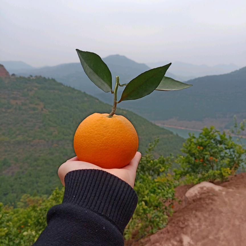 提笔写江山