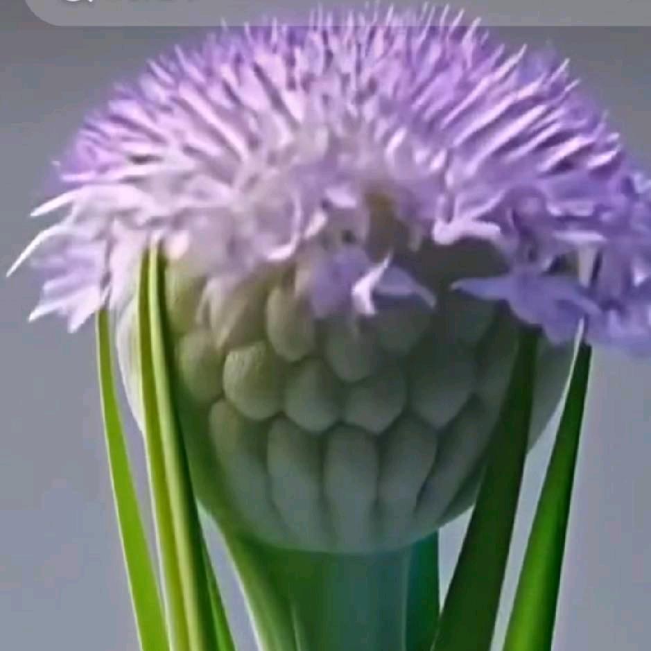 婷婷。