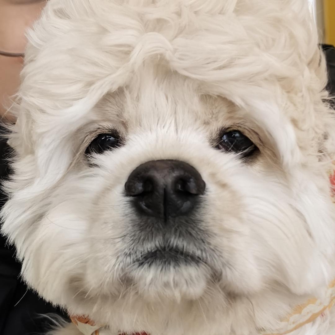 李咘咘