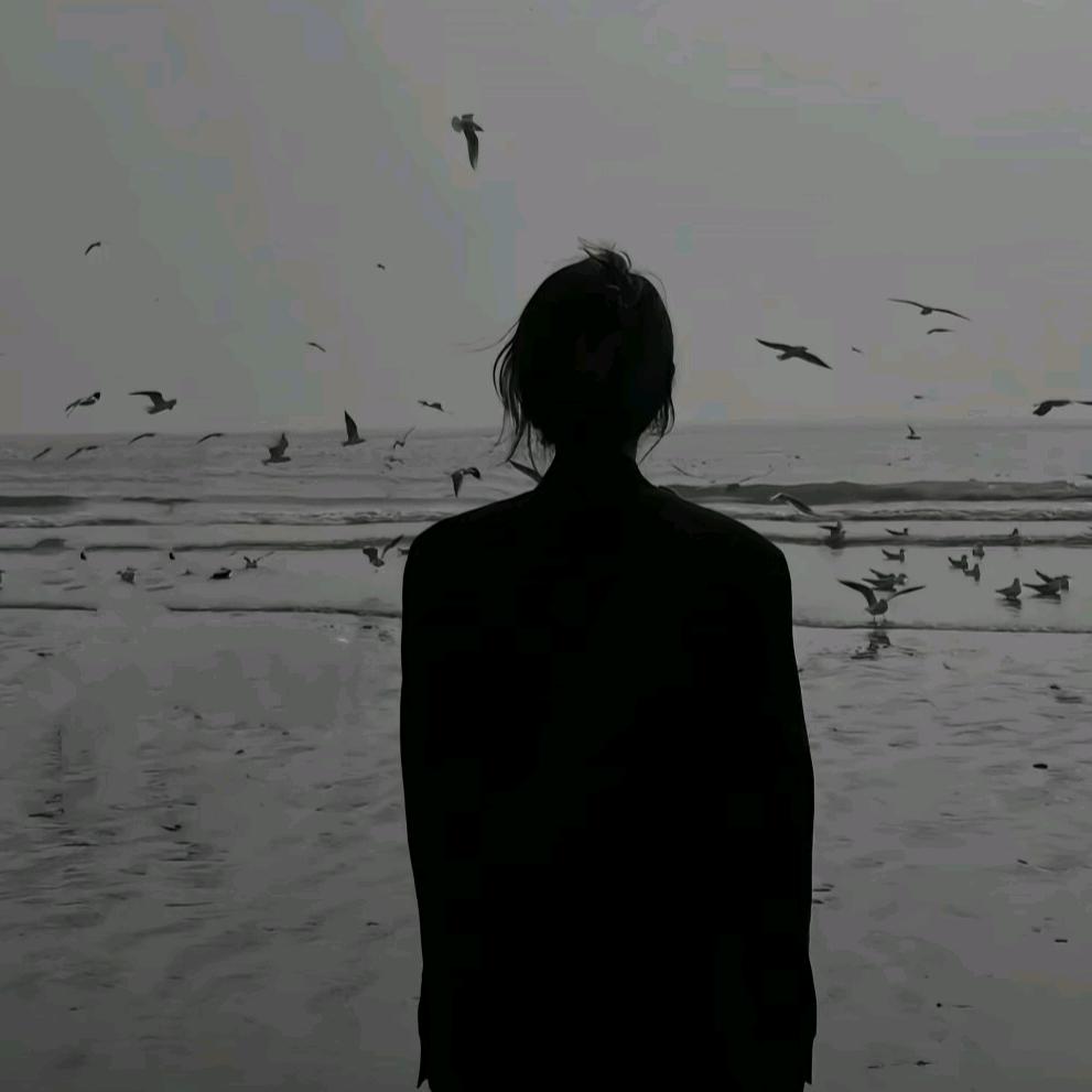 小琳的朋友圈😜