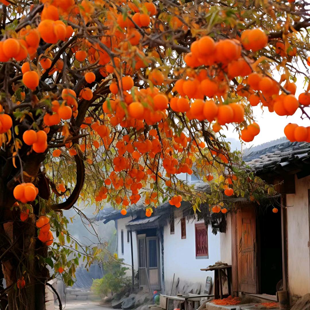 依芸