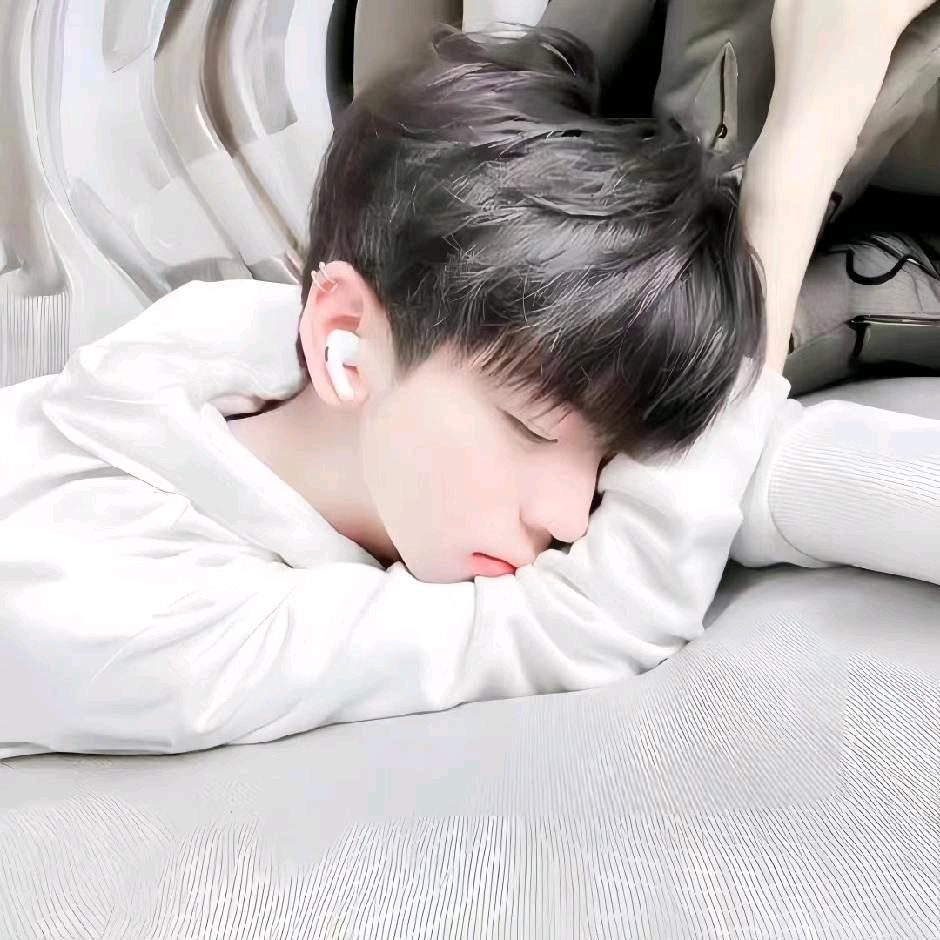 小杨不杨