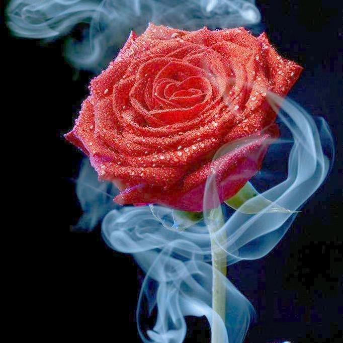 ໑ຼₒ₂5ღ᭄柒月🕊꧔ꦿ᭄💞