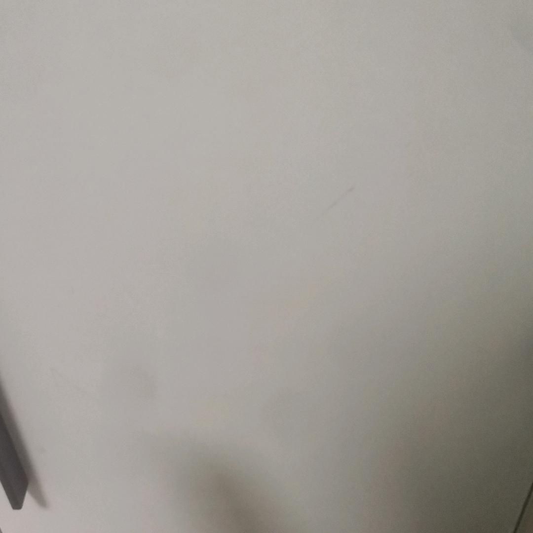 大蛋