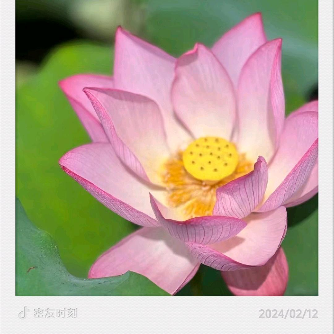 放不下的你