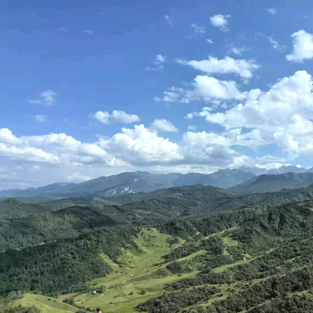顺其自然