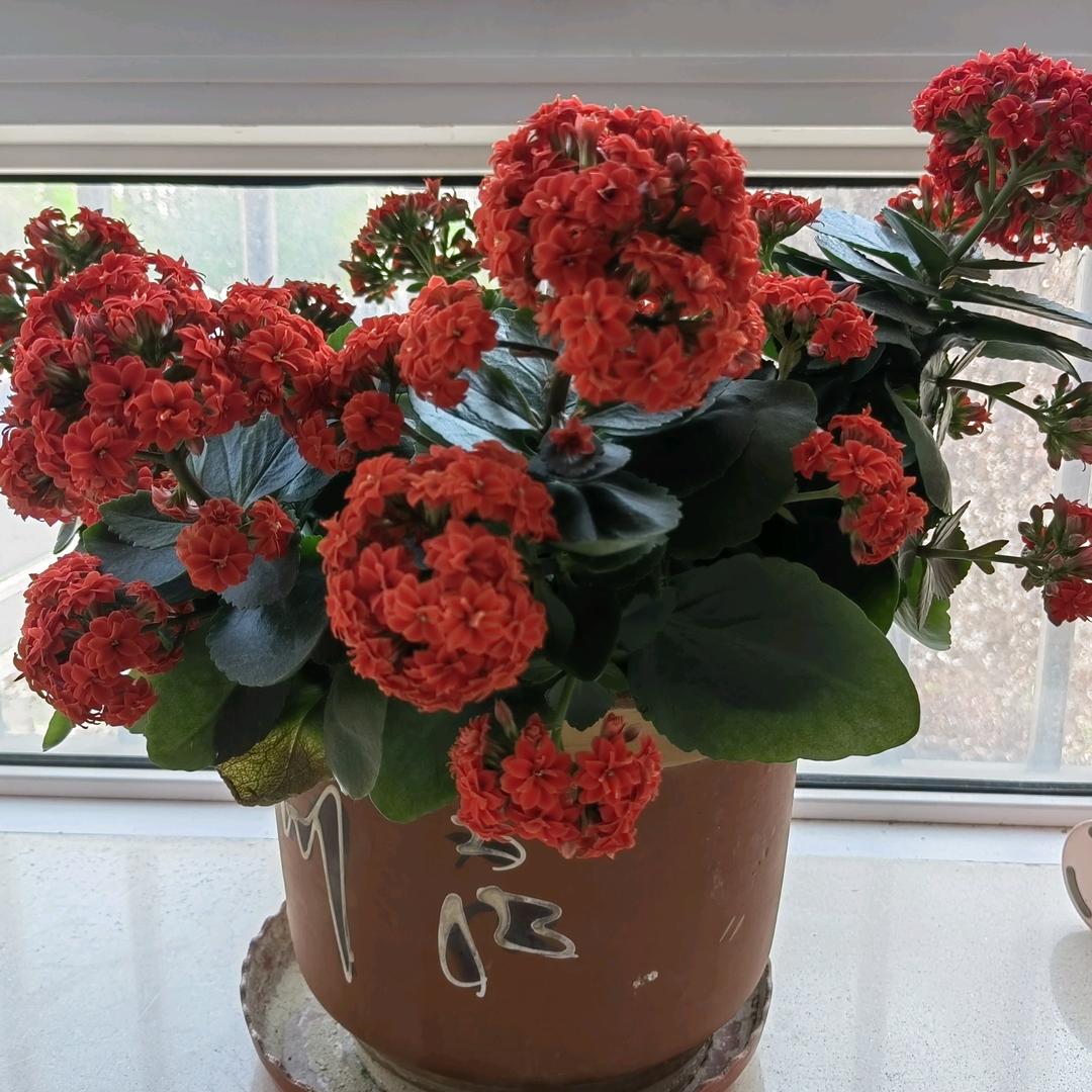 财运UpUp_陆秀勤