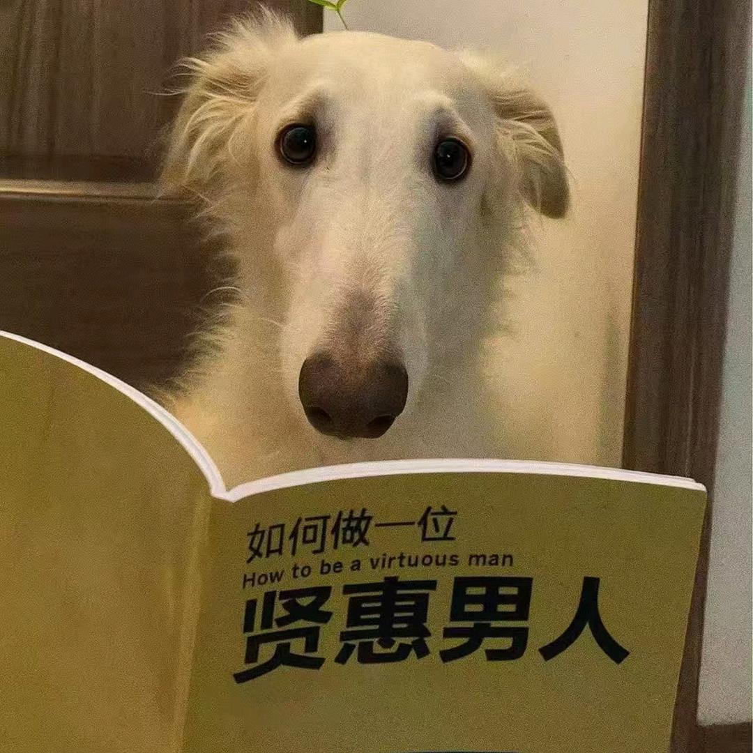 泽亦龙大将军
