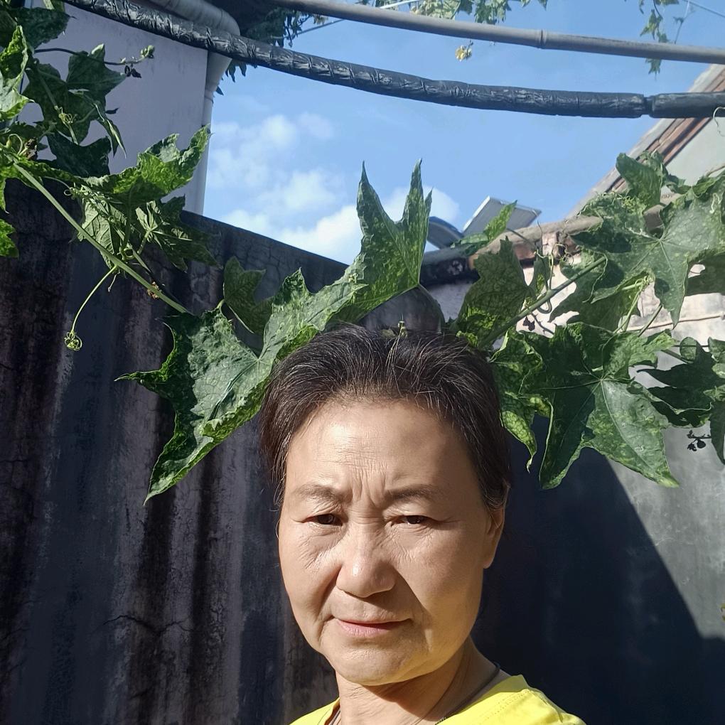 辰子妈（中午12:45开播）