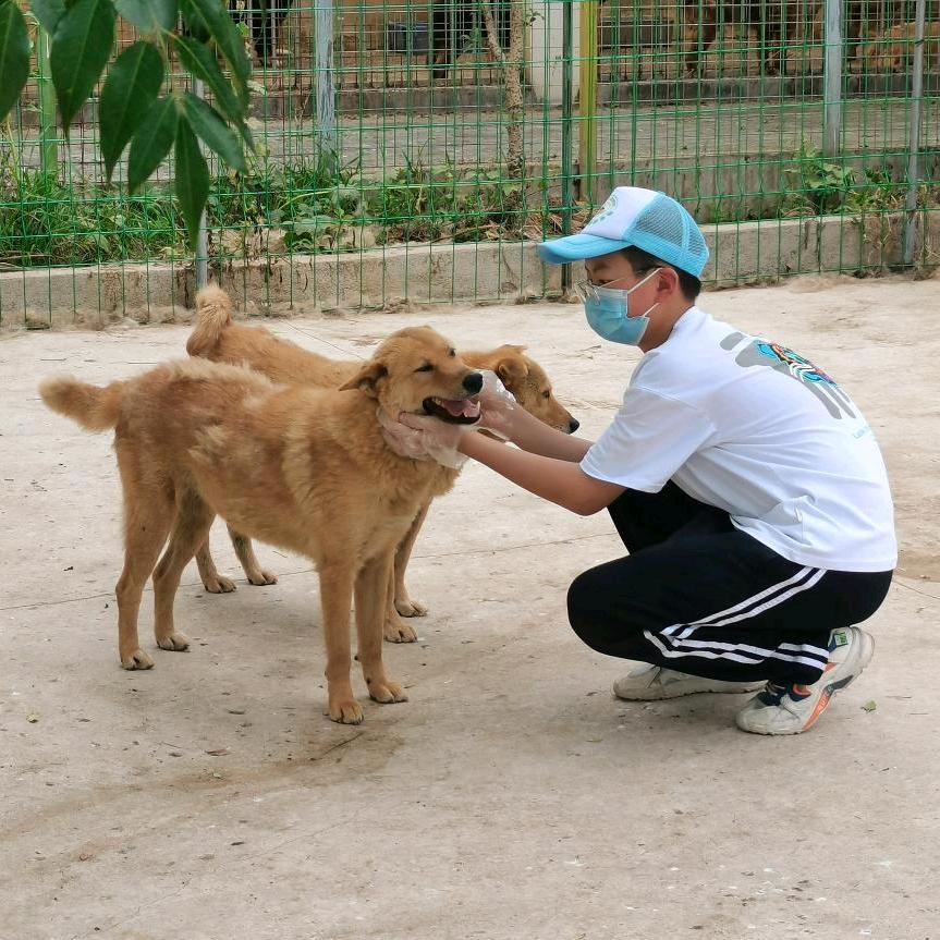 地平线的收集者