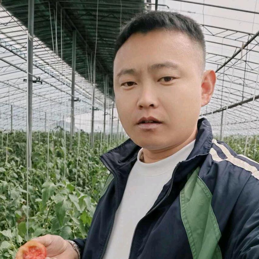 招财纳福