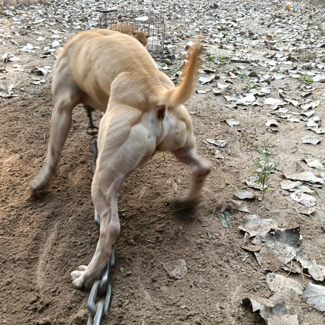 日久见人心🙏🙏🙏