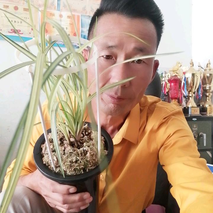 金诚新花卉店