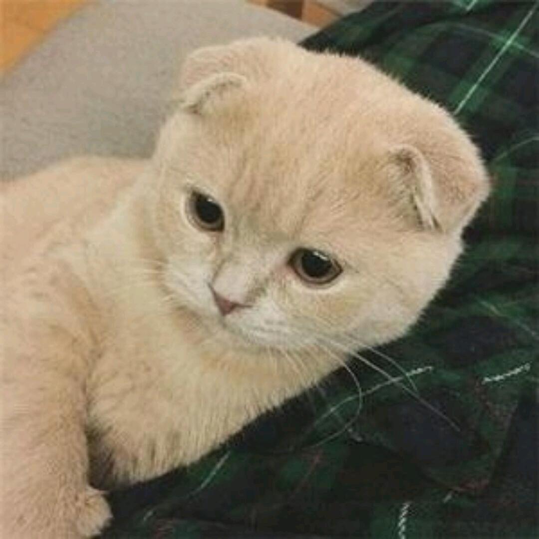不寐