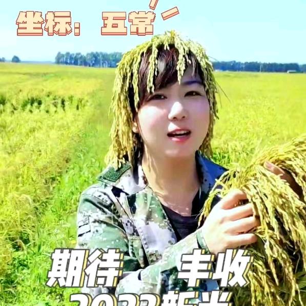 囍稻坊五常大米